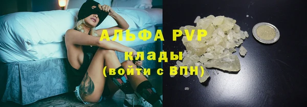 амф Алексин