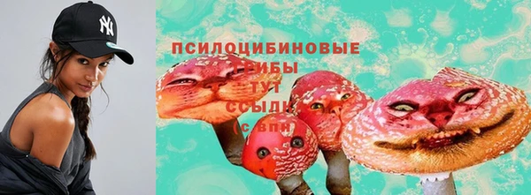амф Алексин
