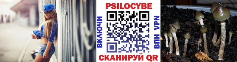 Галлюциногенные грибы прущие грибы  купить закладку  Кочубеевское 