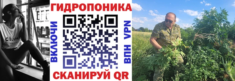 Конопля планчик  купить закладку  Кочубеевское 